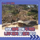 나무엔 | 평택 벌목업체 두꺼운 나무 제거 및 철거 후기