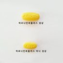 커플러스