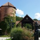 작은숲 펜션 이미지