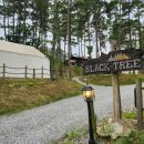 크린토피아 동인천 | 서울근교글램핑 대부도 블랙트리캠핑장 명당 캐빈 수영장 후기