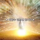 SNPE(바른체형교정운동) 이미지