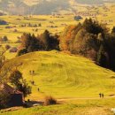 서래부부한의원 이미지