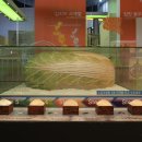 광주김치박물관 이미지