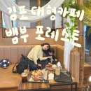 뱀부포레스트(BAMBOO Forest) | [김포] 아기랑 함께하기 좋은 대형카페 뱀부포레스트