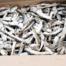 우진수산 이미지