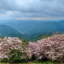 바람개비 이미지