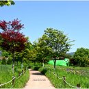 주암호 생태습지 이미지