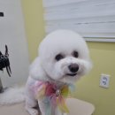 히히 그루밍 네이버블로그