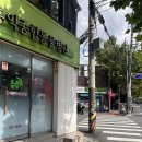 바이오드동물병원 | 홍대미용실 ‘베이바이허슬기 미투미점’ 뿌리탈색, 토닝 작업 후기! 레나쌤 손길로 인생머리 완성