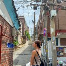 창신동 밀림 골목골목 찾아가는 재미 그리고 끝내주는 뷰