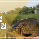 깜장붕어