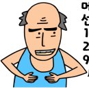 홀리언니 네이버블로그