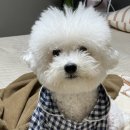 한량아세탁소 이미지