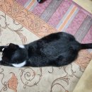 메디벤트 이미지