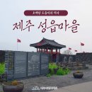 [제주도] 봄 여행メ트레킹/관광(1박2일/2박3일) ▷8명부터 수시 출발~ 이미지