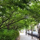 크린위드광주 이미지