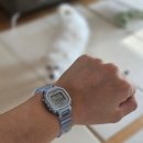 원효로 R | 일상 11월-4 짧은 가을이 지나고 겨울이 왔다