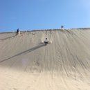 [8-1 임성찬] Port Stephens - Stockton beach sand dunes 이미지