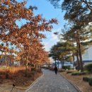 정자중앙길 이미지