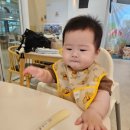 404 | 대전 돌전 아기 키즈카페 디어푸딩 후기｜8개월 아기와 2주간 4번 방문