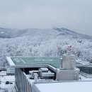 국군수도병원 이미지