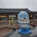 남강PC | AI강사박지영 I 경상국립대학교 '노트북LM으로 보고서·PPT까지 한 번에 마스터' 출강후기