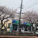 광령보건진료소 네이버블로그