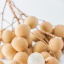 대성한의원 이미지