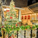 우주은하아파트 앞 | 부산~다대포해넘이~동측해수욕장 빛거리~카페 메종~해운대 빛 축제~더베이 앞 요트체험