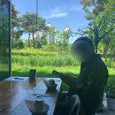 남장리 108-19번지 앞 | 신동 쌀국수 타이테라스