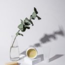 뷰티NP