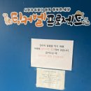 팅커벨 | 서울 유기견 봉사활동 팅커벨 프로젝트 봉사 후기 첫날