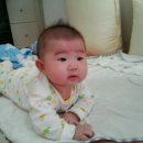 정윤
