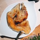 닷찌 이미지