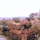 행정사법인 도원 이미지