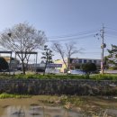 금풍마트 이미지