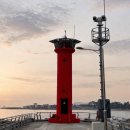 동막골 바다펜션 | 포항] 죽도시장 삼형제횟집 동막골수제강정 죽도명가 마고닭 후기 | 호미곶 유채꽃축제 기간 주차 꿀팁