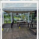 컴투펫 위탁보호센터 이미지