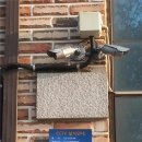 수동면 수산1리 이미지