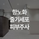청담엠의원 | 청담내과 항노화 줄기세포 피부주사 가격 후기를 잘 살피고