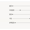 블랑쉬랩 이미지