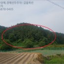 경북 영천시 토지(임야)경매, 영천시 신녕면 부산리 산83 # 2017타경107995 #
