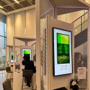 마당말들 이미지