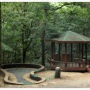 장동산림욕장 이미지