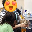 유이랑셰프 네이버블로그