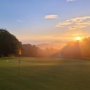 뉴코리아 이미지