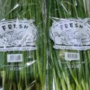 쌍둥이농장 이미지