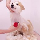 소울도기 이미지