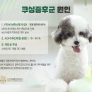 온천동물병원 이미지