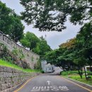 남산공원 일주로 이미지